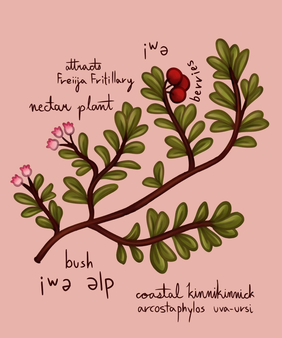 Coastal Kinnikinnick